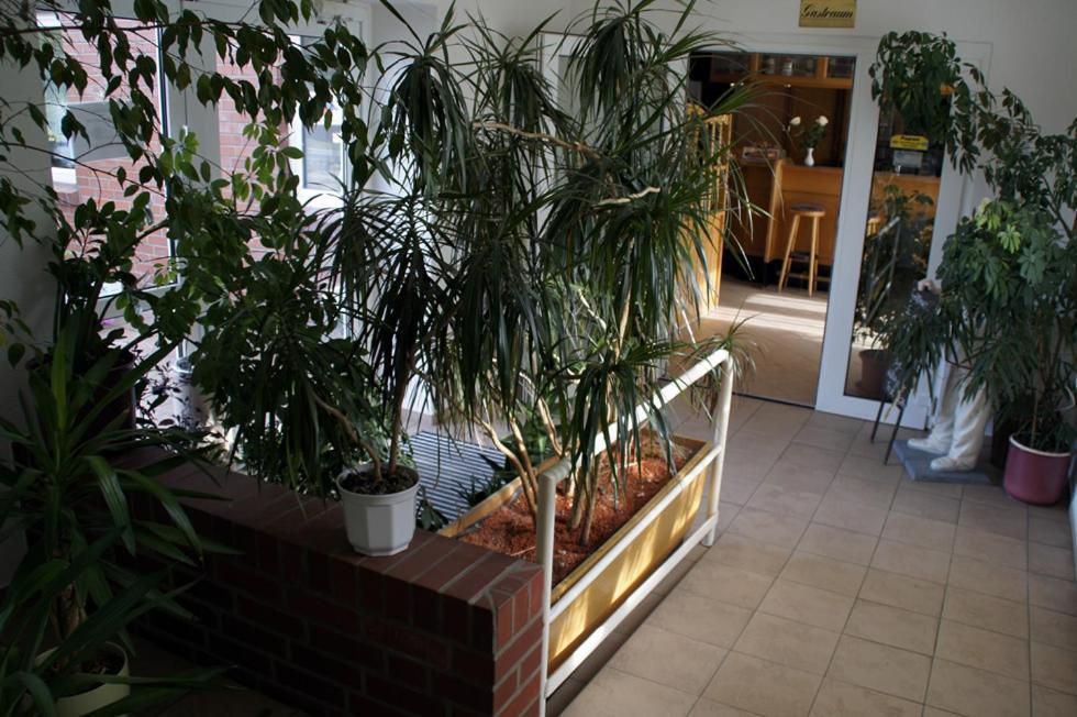 (פרנקפורט (אודר Landhotel Pagram-Frankfurt/Oder מראה חיצוני תמונה